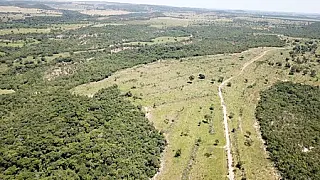 Polícia Militar Ambiental autua Sidrolandense em R$ 118 mil por desmatamento ilegal