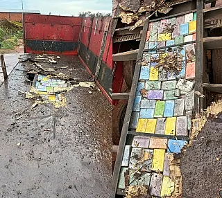 Polícia Federal apreende 414 kg de cocaína escondidos em carreta em Aparecida do Taboado