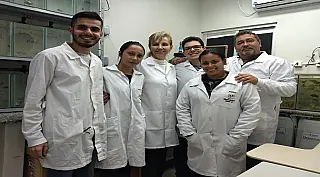 UFGD desenvolve detergente de caju para combater a dengue