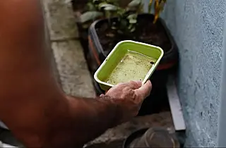 SES reforça prevenção contra Aedes aegypti durante período de Carnaval