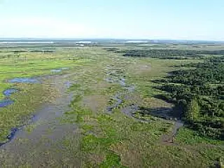 Prefeitos e ambientalistas apoiam revitalização de parque natural