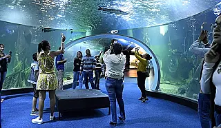 Bioparque já recebeu mais de mil visitantes em dois de abertura