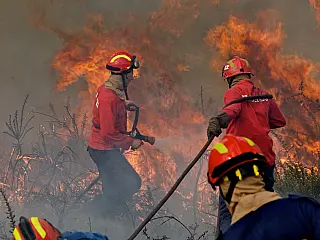 Dia do Bombeiro Brasileiro celebra coragem e dedicação no salvamento de vidas