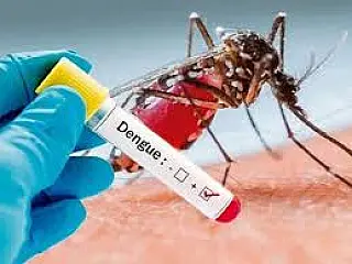 MS registra quase 4 mil casos confirmados de dengue em 2025