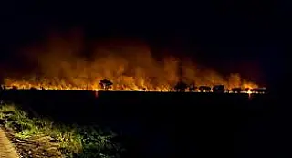 MPMS apura incêndios em áreas rurais de Corumbá
