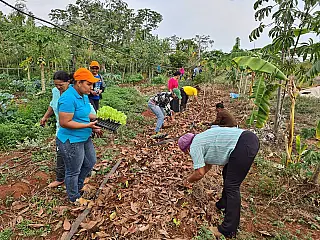 Lançamento do Plano Safra da Agricultura Familiar será realizado em Selvíria na quarta
