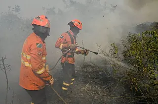 MS reforça planejamento contra o fogo e mobiliza Corpo de Bombeiros no combate a focos no Pantanal