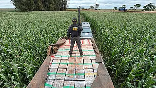 DOF apreende mais de 6 toneladas de maconha após perseguição