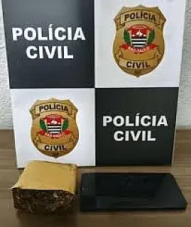 Polícia Civil apreende mais de 223 gramas de maconha em residência em Santa Fé do Sul