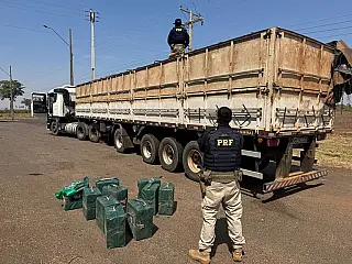 PRF apreende 329 kg de cocaína em caminhão de milho em Paranaíba