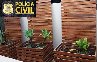 Polícia Civil recupera vasos e painéis de madeira furtados de escritório de arquitetura