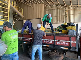 Polícia Civil realiza incineração de mais de quatro toneladas de drogas em Caarapó