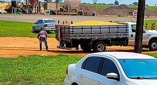 Homem é multado por capturar e amarrar jacaré em caminhão em Anaurilândia