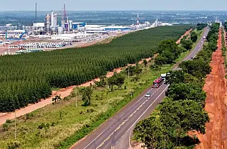 Mato Grosso do Sul cria o "Vale da Celulose" para impulsionar desenvolvimento regional