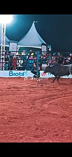 Videomaker leva chifrada de touro durante rodeio em MS: "Olhei no fundo do olho do boi"