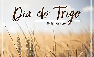 O Dia do Trigo é comemorado neste dia 10 de novembro