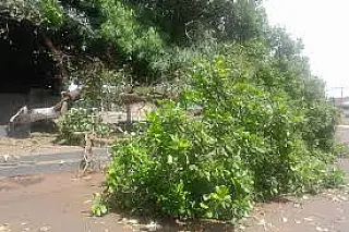 Temporal Causa Estragos em Cassilândia