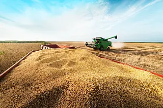 Plantio de soja no Mato Grosso do Sul está 1,9% da área prevista