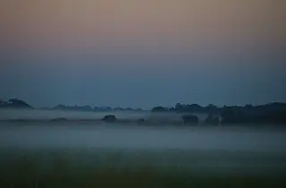 Frente fria derruba temperaturas e pode causar geada no Dia dos Pais em MS