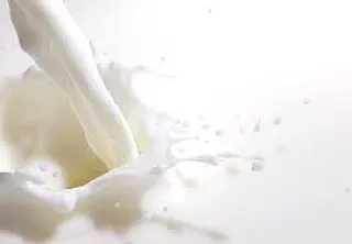 Índice do Leite em MS, elaborado pela Semagro, dá ao produtor referência de preços na indústria