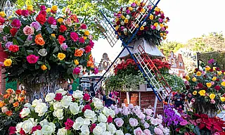 Festival de Flores de Holambra chega a Paranaíba com mais de 100 espécies