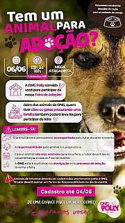 Feira de Adoção da ONG Polly Cães e Gatos acontece neste sábado em Ivinhema