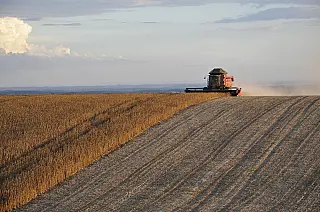 Governo federal bloqueia R$ 445 milhões do seguro rural e preocupa setor agro