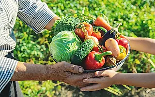 Agricultores familiares podem fornecer alimentos para escolas de Paranaíba