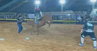 Touro atropela locutor durante rodeio em Paranaíba