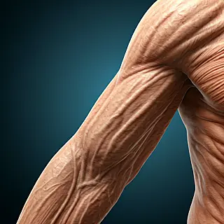A perda muscular na velhice: um desafio para a saúde e qualidade de vida