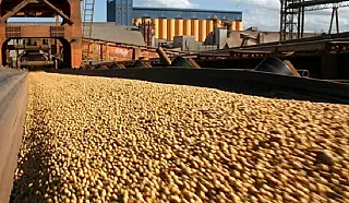 MS tem superávit de 189% na balança comercial
