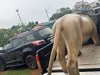 Estátua furtada de hamburgueria é recuperada e homem acaba preso