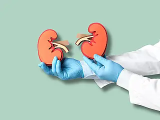Dia Mundial do Rim reforça prevenção e cuidados com a saúde renal