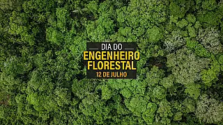 Dia do Engenheiro Florestal: Reconhecendo a Importância da Conservação Ambiental
