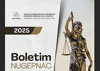 TJMS divulga novo boletim com panorama de decisões que orientam julgamentos no País