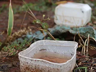 Idosa de 79 anos de Caarapó morre de dengue no Hospital da Vida
