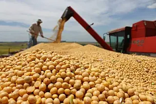 MP investiga desmatamento ilegal de mais de 70 hectares em estância no município de Inocência