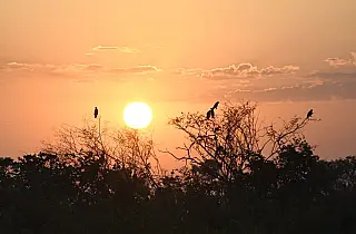 Previsão: tempo firme e calor intenso marcam a quarta-feira em Mato Grosso do Sul