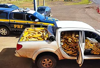 Polícia apreende mais de 1t de maconha dentro de caminhonete furtada