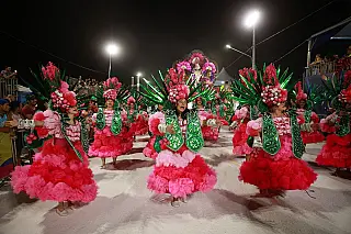 Primeiro dia do desfile das escolas de samba de Campo Grande foi de homenagens