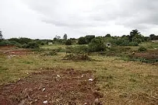 Prefeitura de Paranaíba decreta prazo para limpeza de terrenos baldios e aplicação de multas