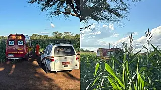 Idoso é encontrado morto em plantação de milho