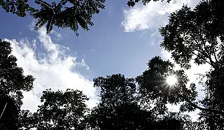 Clima nesta véspera de feriado