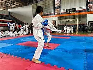 Aparecida do Taboado realiza 1º torneio municipal de karatê