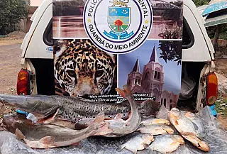 Homem é detido pela sexta vez por pesca predatória em MS