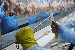 JBS vai liberar do trabalho, grávidas, diabéticos, hipertensos e quem tem mais de 60 anos
