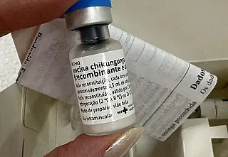 MS recebe primeiras doses de vacina contra chikungunya