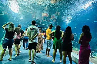 Bioparque Pantanal sediará encontro nacional de zoológicos e aquários brasileiros