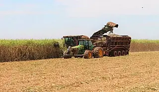 Cresce exportação de açúcar e MS fatura US$ 303 milhões
