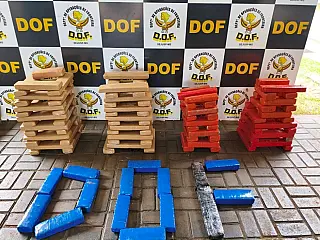 DOF apreende 112 quilos de maconha em empresa de transporte coletivo em Dourados